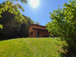 Casa Gioia Laterina